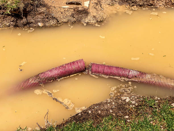 Water damage restoration